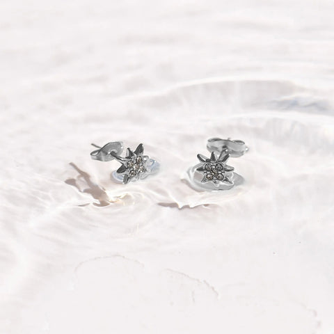 North Star Crystal Studs